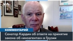 Сенатор Кардин: Грузия, похоже, отступает от демократических принципов 