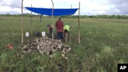 На этой фотографии 2019 года, предоставленной археологическим проектом Belize River East, исследователи извлекают породы, которые будут проанализированы, чтобы помочь им датировать свидетельства существования крупномасштабного доколумбового рыбопромыслового комплекса в Белизе