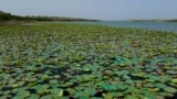 Achro Thar Lakes Thumbnail