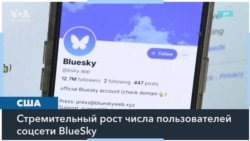 Bluesky. Куда уходят пользователи соцсети Х? 